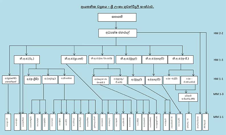 SLBC Organization Structure